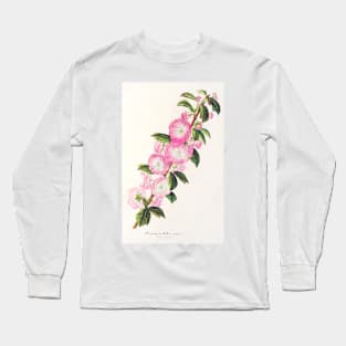 Flowering almond - Botanical Illustration Long Sleeve T-Shirt